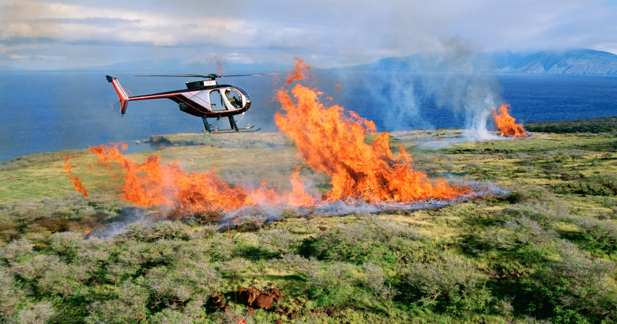 Rebecca Innes Consulting - Blog - Emergency Preparedness Planning - fire