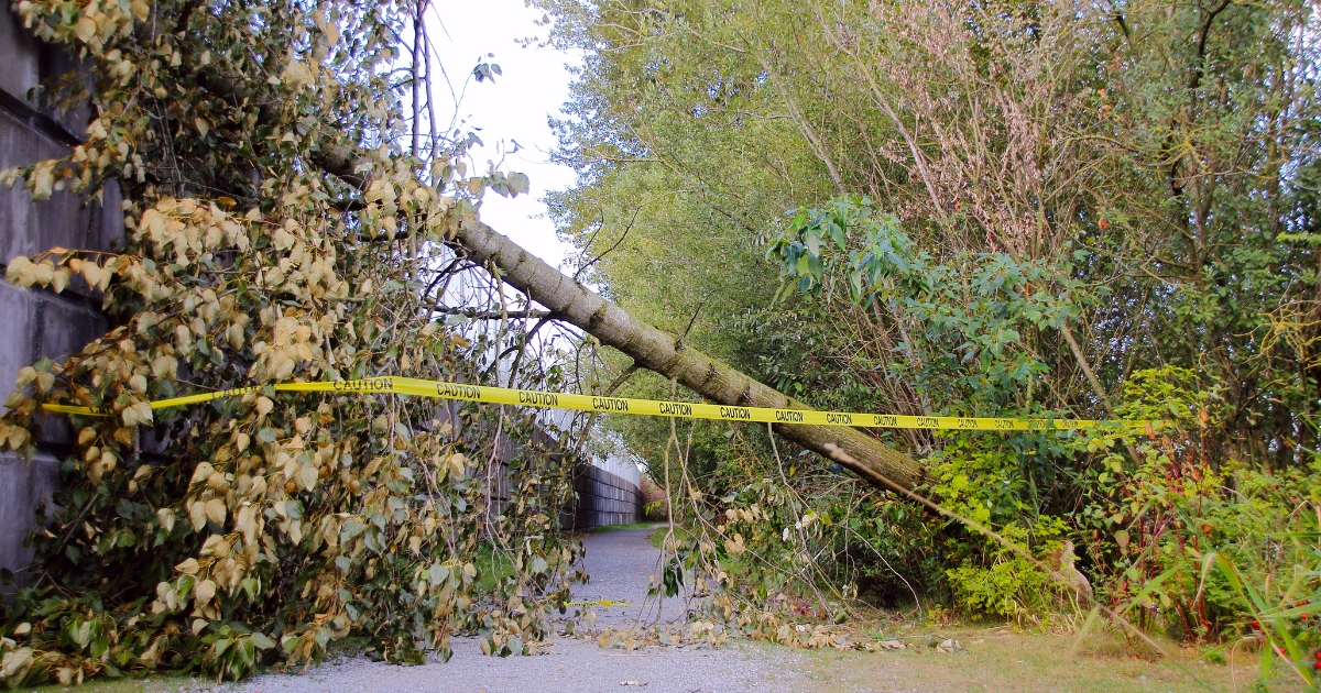 Rebecca Innes Consulting - Blog - Emergency Preparedness Planning - storm