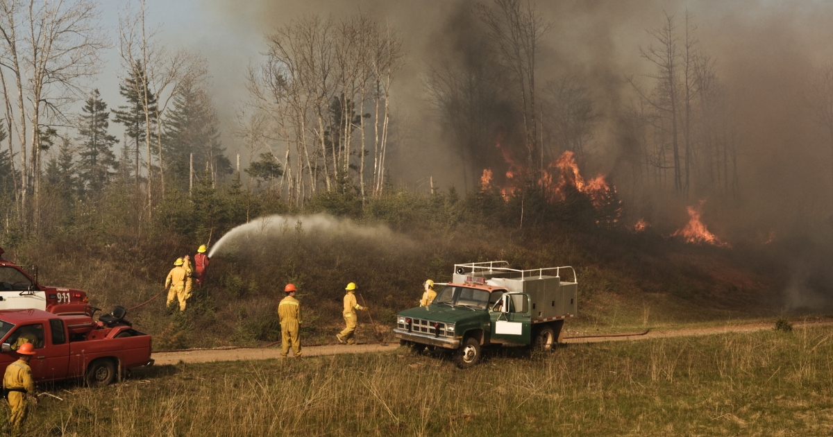 Rebecca Innes Consulting - Blog - Emergency Preparedness Planning - wildfire