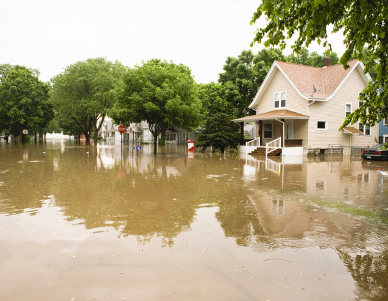 Rebecca Innes Consulting - RIC - Disaster & Emergency Management Solutions - Mission