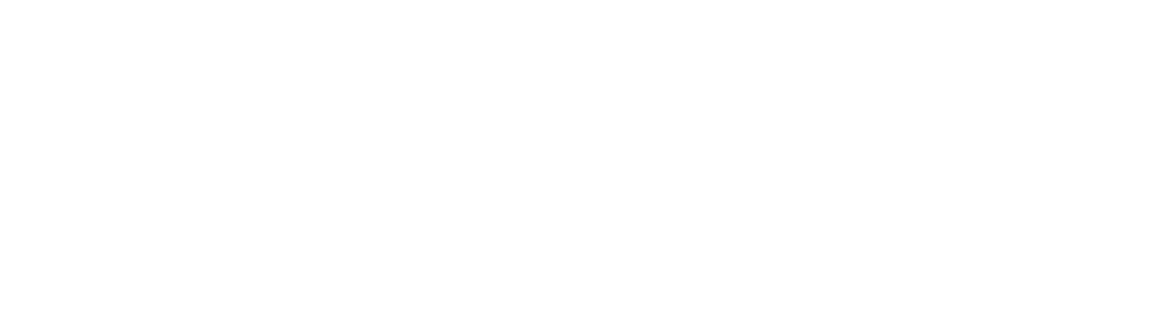 RIC Disaster Management