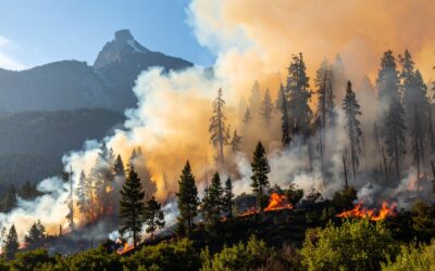 Turning Fear into Confidence: Growing Capacity for Town of Canmore Businesses with a Practical Crisis Planning Workshop